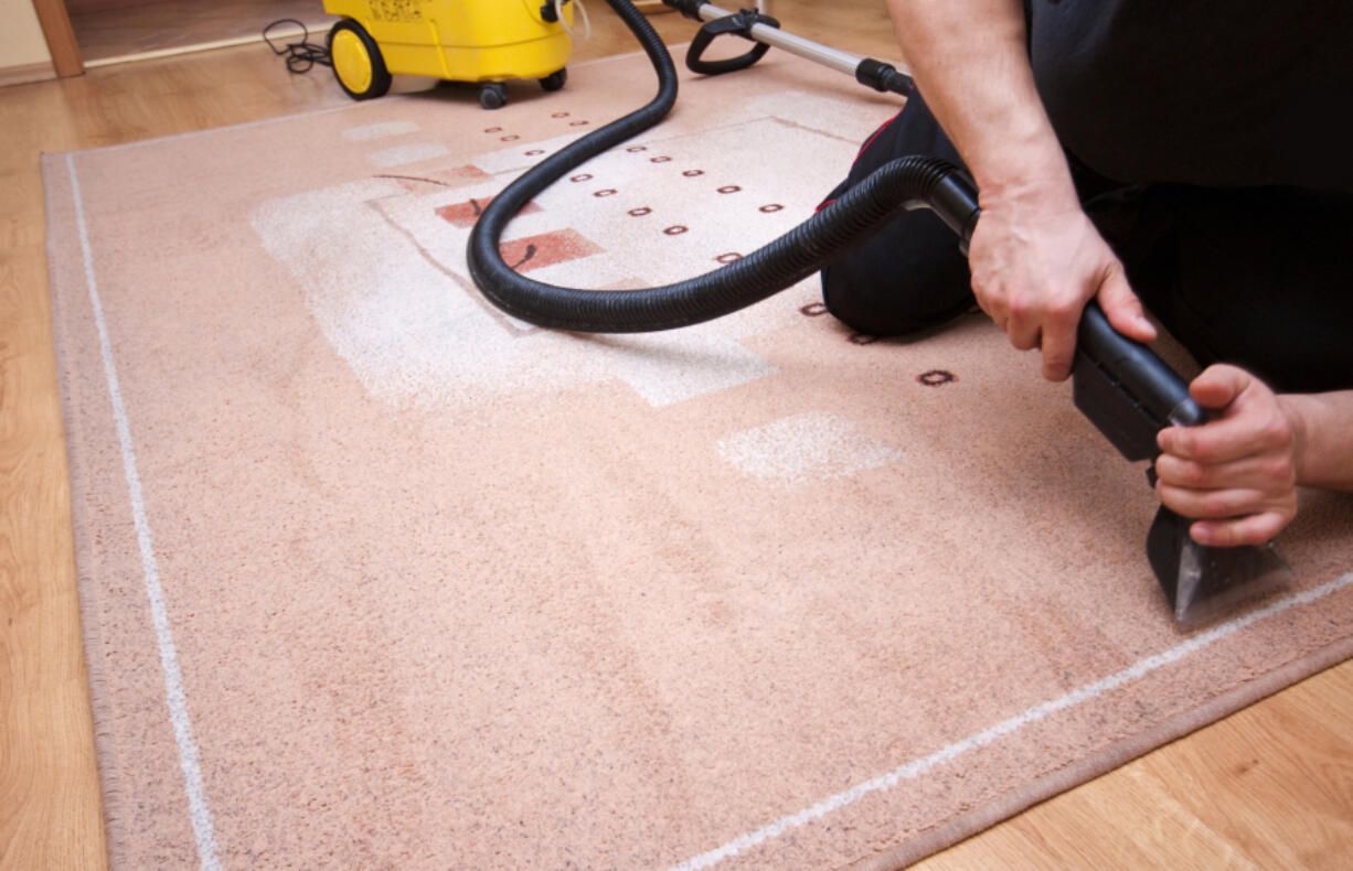 Professional carpet cleaners bring specialized tools and expertise to the job.