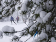 Snow falls on cross-country skiers at Virginia Meissner Sno-park.