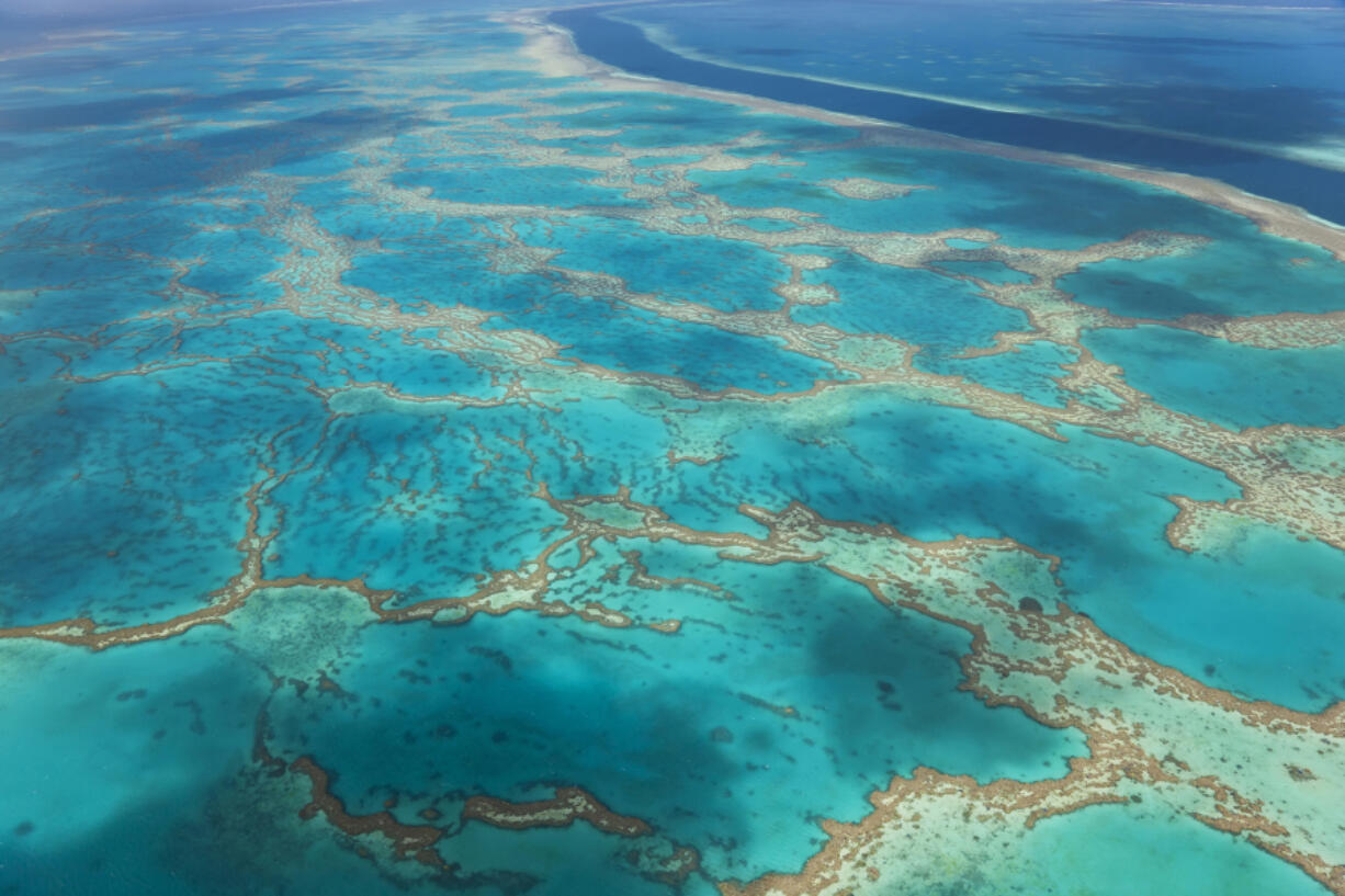 The Great Barrier Reef in Queensland, Australia.