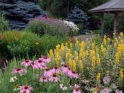 NatureScape's demonstration Wildlife Botanical Garden in Brush Prairie showcases a lush meadowscape.