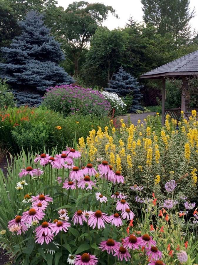 NatureScape's demonstration Wildlife Botanical Garden in Brush Prairie showcases a lush meadowscape.