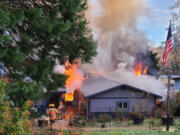 A fire Saturday morning in Amboy killed the house's owner, two dogs and a number of exotic birds, according to Fire District 10.