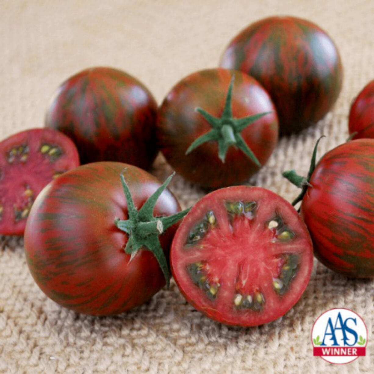 Tomato Purple Zebra (Photos contributed by All-America Selections)