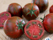 Tomato Purple Zebra (Photos contributed by All-America Selections)