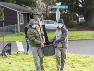 Friends of Trees planting day in central Vancouver photo gallery