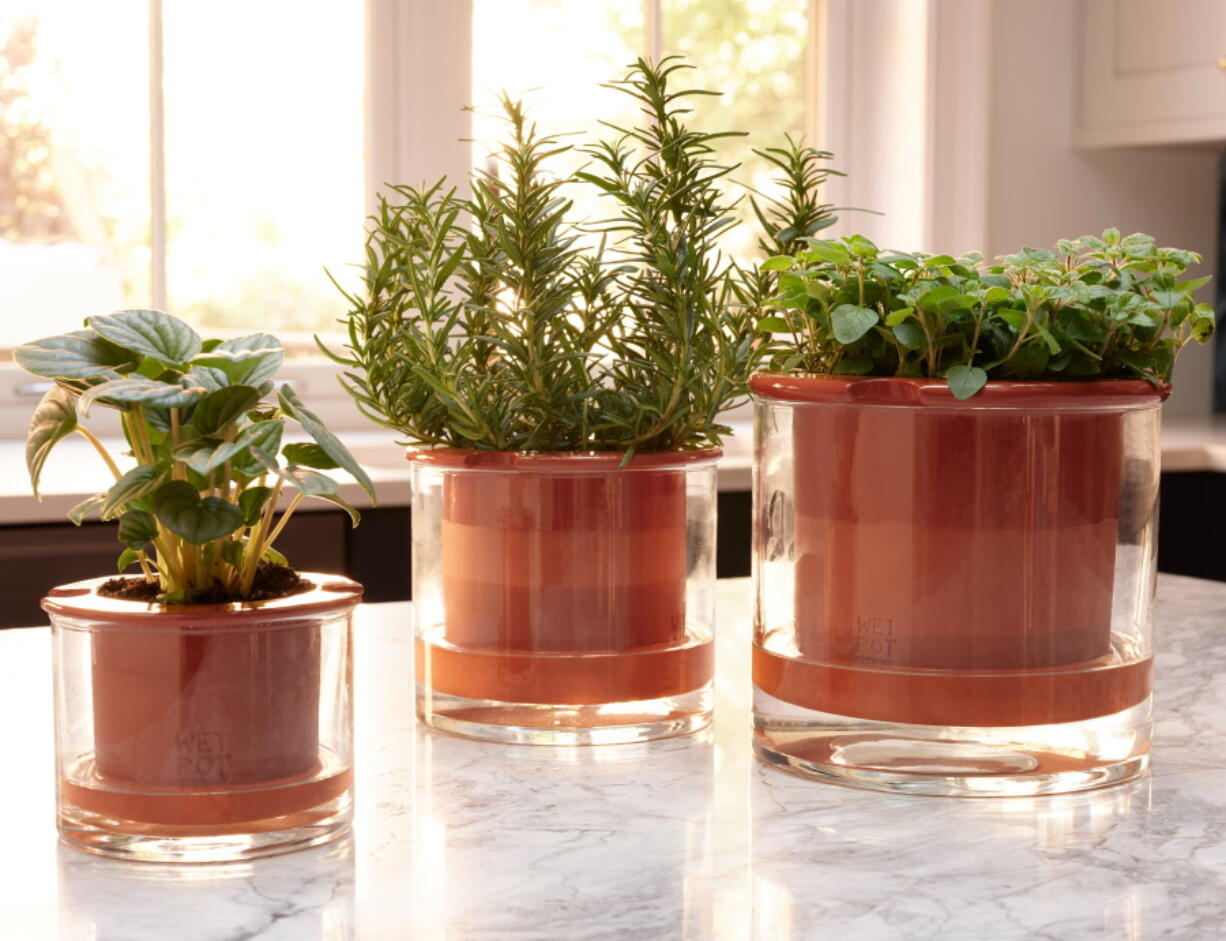 Swedish company Wetpot's self-watering pot that makes sure you don't over- or under-water your plant.