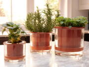 Swedish company Wetpot's self-watering pot that makes sure you don't over- or under-water your plant.