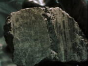 The meteorite labeled Allan Hills 84001 is held in the hand of a scientist at a Johnson Space Center lab in Houston on Aug. 7, 1996. (David J.