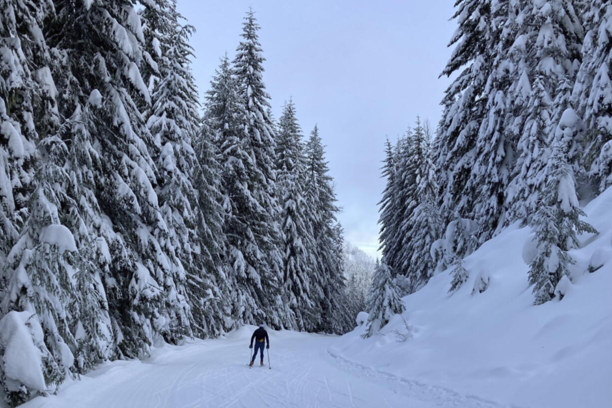 A cross country skier glides along the freshly groomed trails at Cabin Creek Sno Park near Easton, Washington on Dec. 19, 2021. When COVID-19 hit in the winter of 2020, many escaped cabin fever by hitting the ski trails and Nordic skis quickly became the new toilet paper - they were hard to find and sold out in stores. The ski boom has continued as the pandemic makes winter outdoor recreation appealing, but climate change means its future is uncertain.