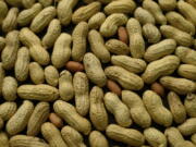 FILE - This Feb. 20, 2015 file photo shows an arrangement of peanuts in New York. According to a study published in the journal Lancet on Thursday, Jan. 20, 2022, young children might be able to overcome their peanut allergies if treated at an early enough age.