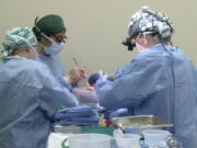 In this photo provided by the University of Alabama at Birmingham, surgeons prepare to transplant kidneys from a genetically modified pig into the body of a deceased recipient in September 2021. The experimental procedure was a step-by-step rehearsal for operations they hope to try in living patients possibly later in 2022, part of a quest to use animal organs to save human lives.