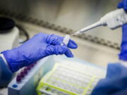 FILE - A laboratory technician prepares COVID-19 patient samples for semi-automatic testing at Northwell Health Labs, March 11, 2020, in Lake Success, N.Y. Republicans' faith in science is falling as Democrats rely on it even more with a trust gap in science and medicine widening substantially during the COVID-19 pandemic, new survey data shows. It's the largest gap in nearly five decades of polling by the General Social Survey, a widely respected trend survey conducted by NORC at the University of Chicago that has been measuring confidence in institutions since 1972.