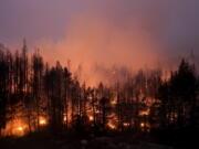 FILE - Trees scorched by the Caldor Fire smolder in the Eldorado National Forest, Calif., Friday, Sept. 3, 2021. The Biden administration wants to thin more forests and use prescribed burns to reduce catastrophic wildfires as climate changes makes blazes more intense. (AP Photo/Jae C.