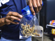 FILE - In this May 24, 2019, file photo a vendor bags psilocybin mushrooms at a pop-up cannabis market in Los Angeles.