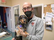 Dr. Mark Planco holds a dachshund named Domino at Planco Veterinary Care on Jan. 24 in Wellington, Fla.