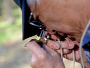 Kingston Leong, 82, looks for the ears on a monarch butterfly at the Coastal Access Monarch Butterfly Preserve on Jan. 20, 2022, in Los Osos, California.