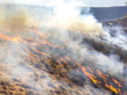 People stand behind the fire line as the flames spread through dry grasses at the Steptoe Canyon Fire  Thursday, July 22, 2021, in Colton, Wash.