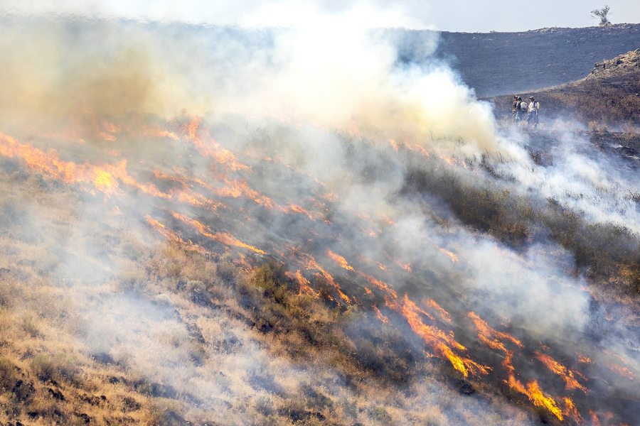 People stand behind the fire line as the flames spread through dry grasses at the Steptoe Canyon Fire  Thursday, July 22, 2021, in Colton, Wash.