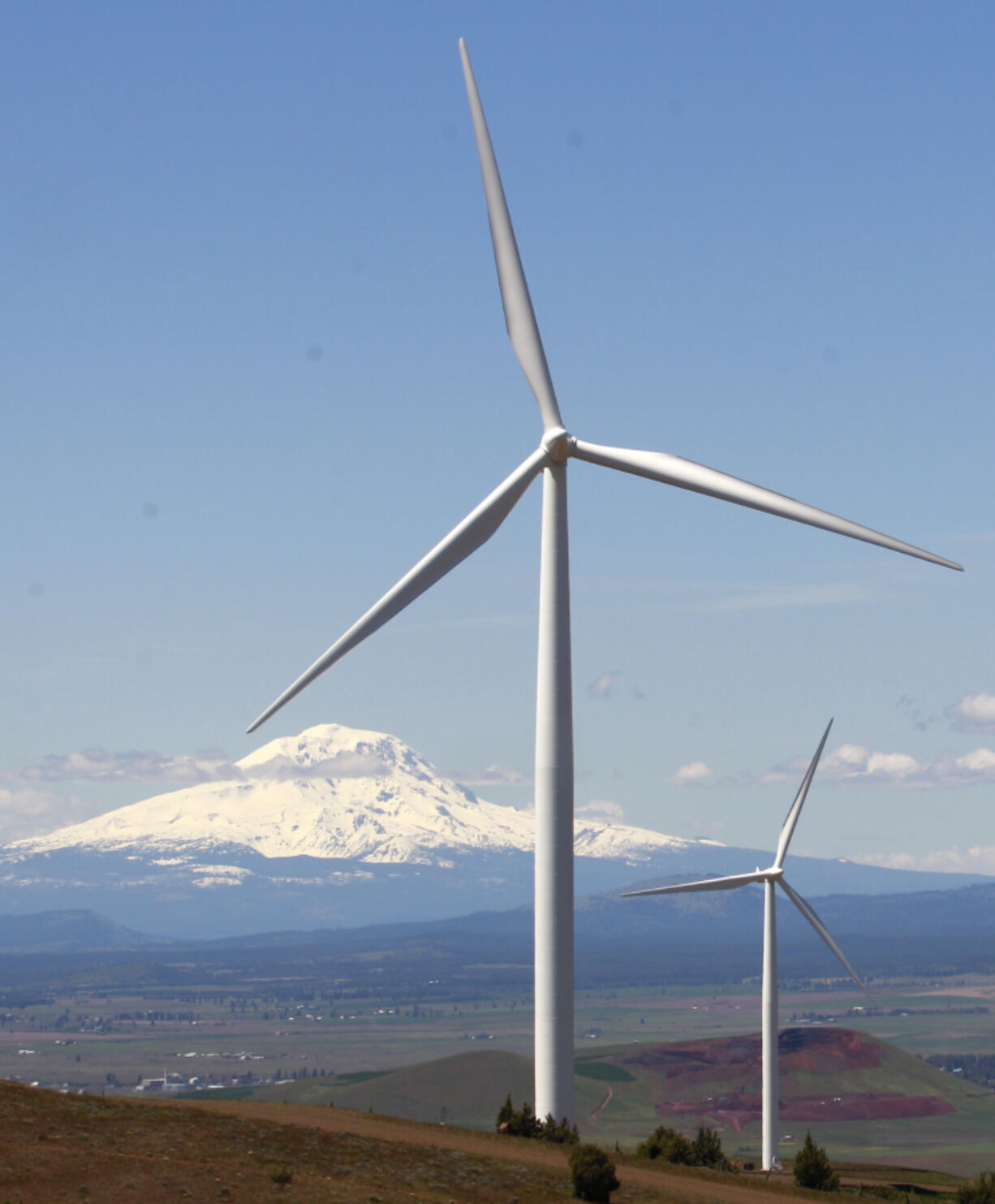 FILE - This June 3, 2011, file photo, shows wind turbines on the Columbia Gorge near Goldendale, Wash. Federal regulators ruled on Wednesday, Dec. 7, 2011, in favor of Northwest wind-power generators who objected to being ordered to shut down at nights and on weekends this spring when the Columbia River basin was brimming with water and federal hydropower dams were running flat out.