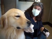 Jennifer Arnold, founder of Canine Assistants in Milton, Ga., allows Cheeto to smell a scented swab as part of the dog's training to identify seizures. Researchers have isolated several compounds that are released when seizures occur.