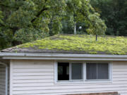 Moss can be problematic on roofs, causing virtually any roofing material -- especially wood and asphalt, but also clay, concrete and even metal -- to degrade, drastically shortening its lifespan.