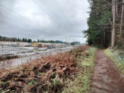 A back-lot view of the Ross Complex, alongside the Ellen Davis Trail.