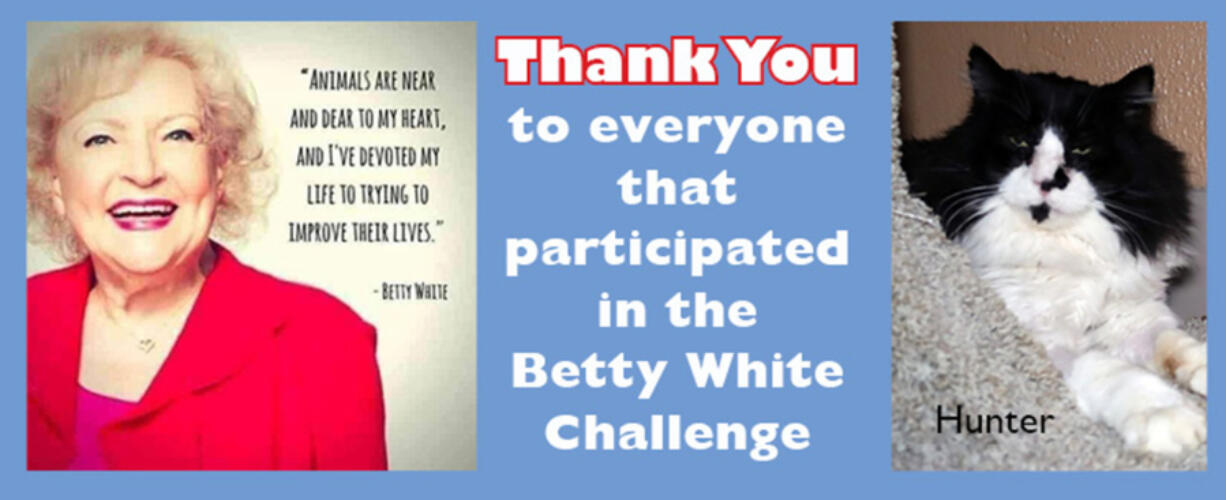 Furry Friends recently took part in the #BettyWhiteChallenge to raise money for local cats in need.