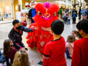 Audience members place money in the mouth of a lion character during a performance by the White Lotus dance troupe at Vancouver Mall on Saturday to celebrate Lunar New Year. It is tradition to feed the lion by placing a red envelope containing money in its mouth for good luck. (Molly J.