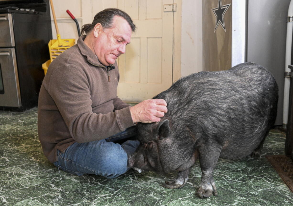 Wyverne Flatt who is fighting to keep his pot-bellied pig Ellie as an emotional support animal poses for a photograph at his home Wednesday, Feb. 2, 2022, in Canajoharie, N.Y. Village officials consider Ellie a farm animal, and not allowed in the village.