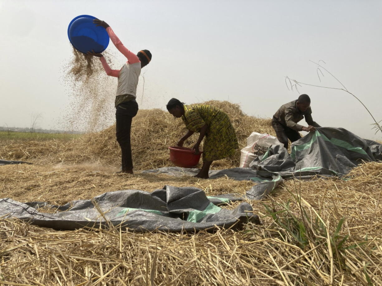 HOLD FOR A STORY SLATED FOR 800 GMT -  Ibrahim Mohammed, left, a farmer who lost most of his seedlings and farmlands to violent attacks in Nigeria's north, works on a rice farm along with his family members in Agatu village on the outskirts of Benue State in northcentral Nigeria, Wednesday, Jan 5, 2022. Across northern Nigeria, at least 13 million are now facing hunger amid a lean season, according to the U.N. World Food Program. The violence has also disrupted the sales of food as roads are too unsafe for farmers to transport crops and marketplaces have been razed by attackers.