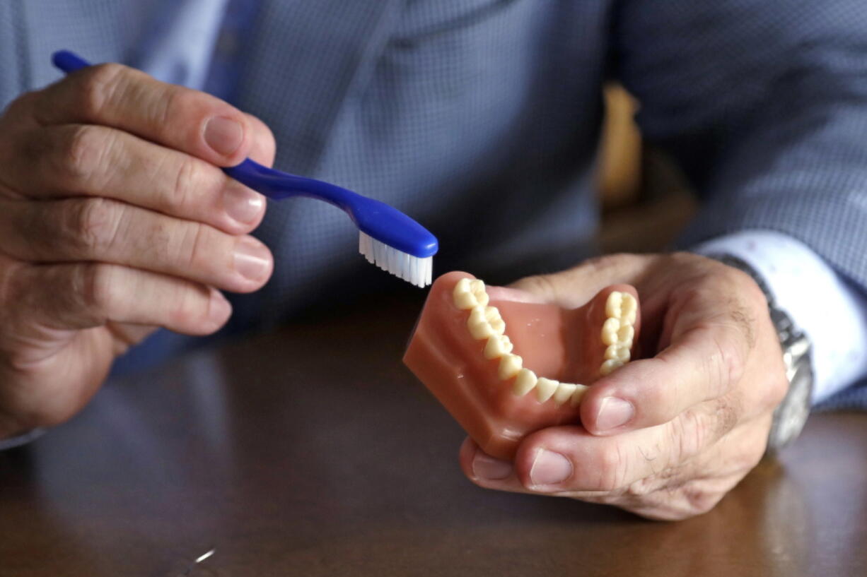 A dentist holds a model of teeth and a toothbrush.