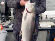 Spring Chinook like this one, caught last year with guide Bill Monroe, should be more plentiful this year, according to the projections. River conditions look to be better, too.