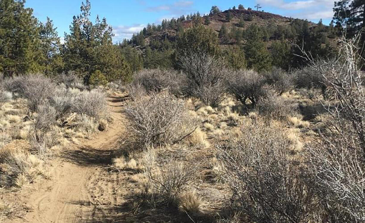 Ideal, dry singletrack conditions seen recently near Horse Butte during a recent visit on Swamp Wells Trail. This time of year, muddy sections can be problematic for trail users.