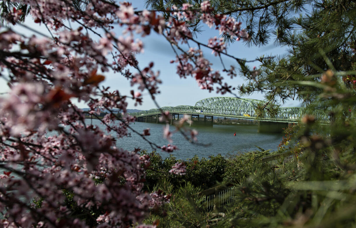 Delicate blossoms frame the Interstate 5 Bridge as they brighten the Vancouver waterfront on Thursday morning. The Coast Guard is reviewing plans for the new Interstate 5 Bridge that would provide marine traffic with 32 percent less clearance than the current twin drawbridges' clearance of 178 feet when fully raised.