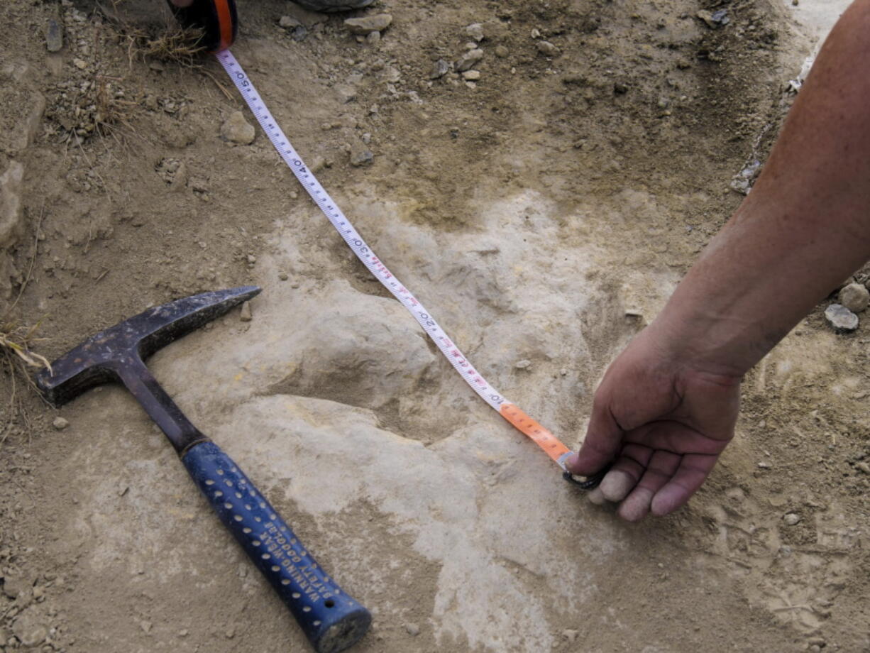 A researcher measures a 120-million-year-old fossilized dinosaur footprint in the La Rioja region in northern Spain.