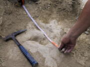 A researcher measures a 120-million-year-old fossilized dinosaur footprint in the La Rioja region in northern Spain.