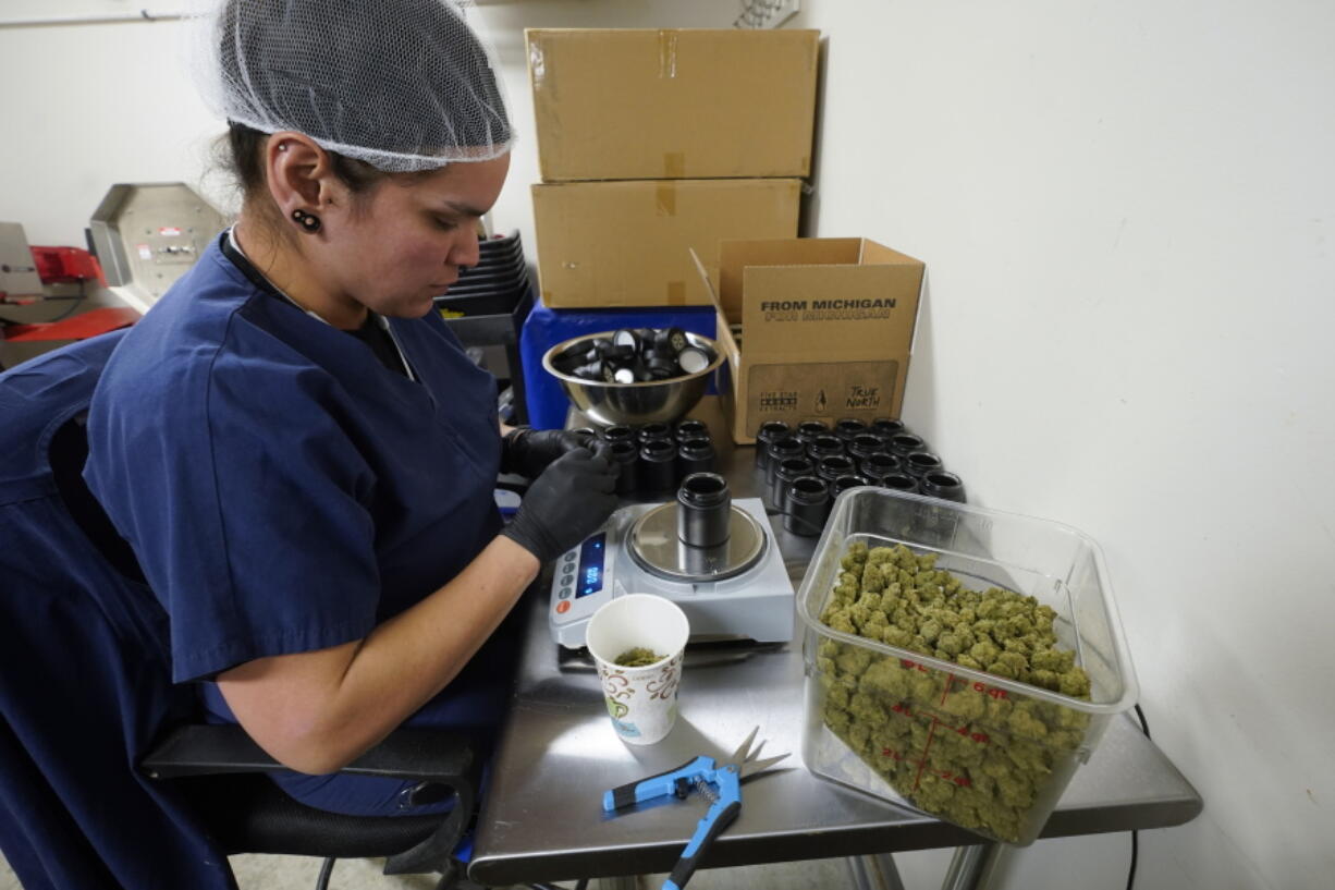 Jessica Owl, weighs True North Collective recreational marijuana, during packaging in Jackson, Mich., Wednesday, March 2, 2022. Over the past few years, Jonny Griffis has invested millions of dollars in his legal marijuana farm in northern Michigan, which produces extracts to be used in things like gummy bears and vape oils. But now that farm -- like many other licensed grows in states that have legalized marijuana -- faces an existential threat: high-inducing cannabis compounds derived not from the heavily regulated and taxed legal marijuana industry, but from a chemical process involving little-regulated, cheaply grown hemp.