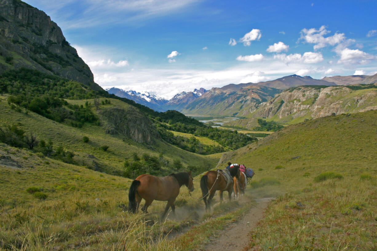 The green hills of Patagonia.