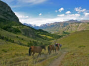 The green hills of Patagonia.