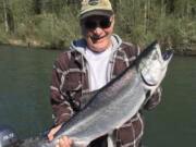 This spring Chinook was taken by Richard Twing on the Cowlitz River while fishing with guide Dave Mallahan a few years ago. After a two-year hiatus, anglers can once again keep spring Chinook salmon they catch on the Cowlitz River.