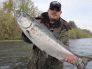 Are the good times back? Anglers can keep spring Chinook salmon on the Cowlitz River this year. Retention is open through April 30.