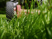 Now is the perfect time to get your lawnmower primed and prepped.