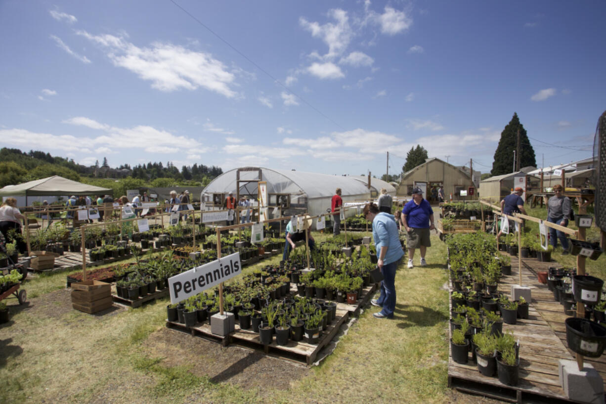 Shoppers browse at the Master Gardener Foundation Mother's Day Weekend Plant Sale at 78th Street Heritage Farm in 2019.