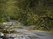 Monday's snow brought down enough trees in Blandford Canyon to force Vancouver to close South Blandford Drive until the roadway can be cleared, as seen Tuesday morning. Top: Blandford Drive between MacArthur and Evergreen boulevards remains closed due to downed tree limbs and debris blocking the street. Vancouver Public Works expects the road to remain closed for several days.