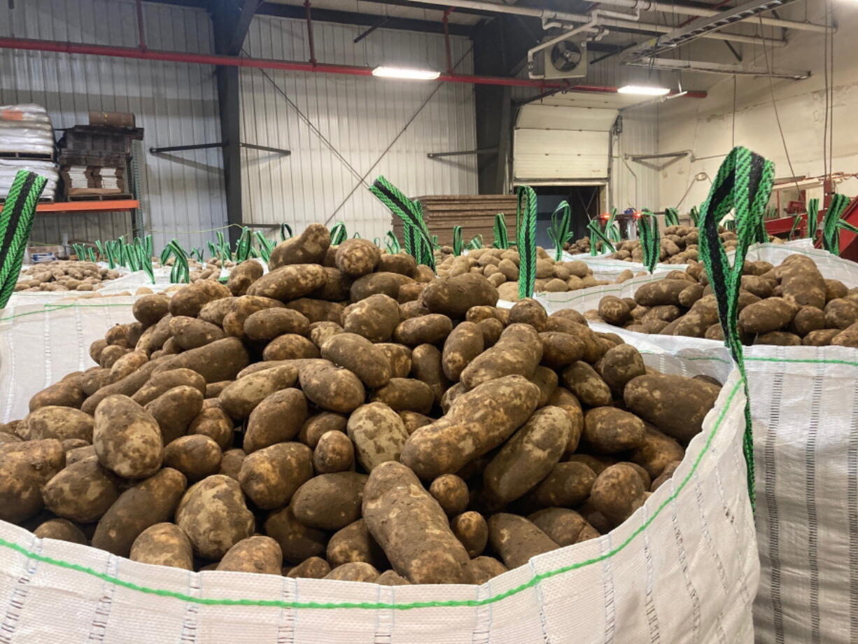 In this photo provided Jay LaJoie, russet potatoes produced by Maine growers are packaged to be loaded on a rail car headed for Washington State, at a warehouse owned by LaJoie Growers LLC, in Van Buren, Maine, Jan. 17, 2022. Maine is shipping potatoes all the way to the West Coast over the winter of 2021-2022, thanks to a banner harvest in Maine and a drought for growers in the West.