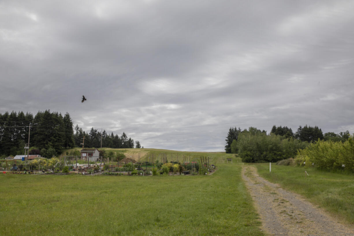 The Clark County Council is considering options for expanding public access to the 78th Street Heritage Farm, which is home to WSU Clark County Extension.