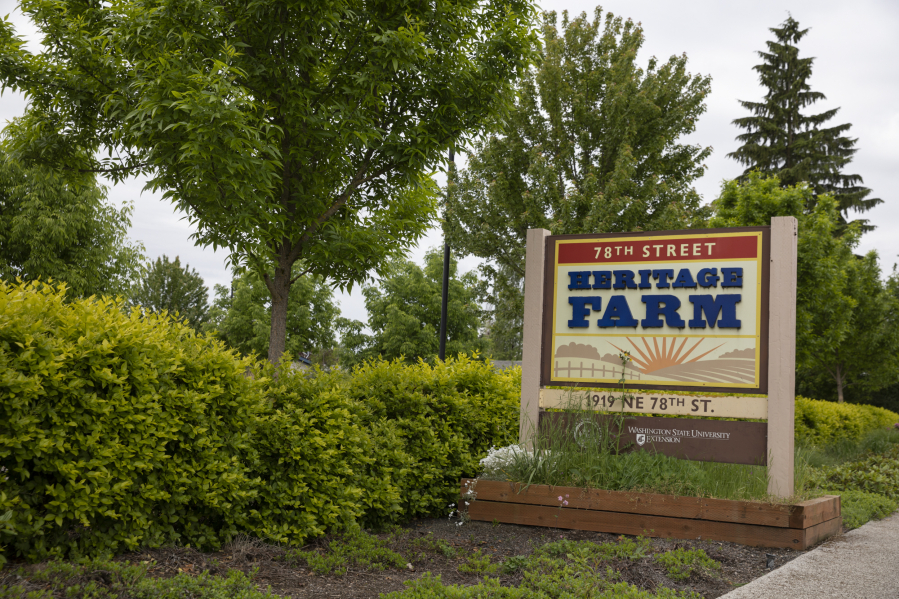 Many of WSU Clark County Extension's Master Gardeners start their crops at the 78th Street Heritage Farm in Hazel Dell.