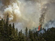 Fire rages along a ridgeline east of highway 518 near the Taos County line as firefighters from all over the country converge on Northern New Mexico to battle the Hermit's Peak and Calf Canyon fires on May 13, 2022.