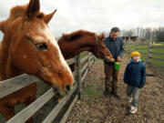 At Green Forest farm, animals effected by the Russian invasion of Ukraine are finding refuge with the help of Evigenia Malchanova, age 31on April 28, 2022. Evigenia took in horses from Kharkiv, when their owner had to leave the country due to the war. The horses were so frightened of the shelling they passed out in the field. Now they get lots of attention from people visiting the farm, like Kazeev Richard Richardovich, center, visiting with his son Richard, age 6.