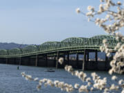 Delicate blossoms frame the Interstate 5 Bridge as they brighten the Vancouver Waterfront on March 24. The Interstate Bridge Replacement Program's locally preferred alternative is making rounds to local agencies before it can progress to the next project phase.